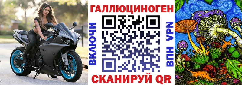 Псилоцибиновые грибы GOLDEN TEACHER  где купить наркоту  Стародуб 