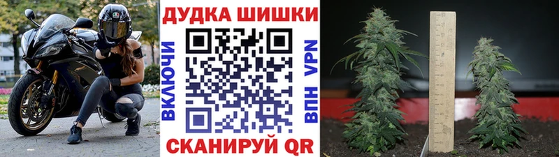 сколько стоит  Стародуб  дарк нет какой сайт  Марихуана LSD WEED 